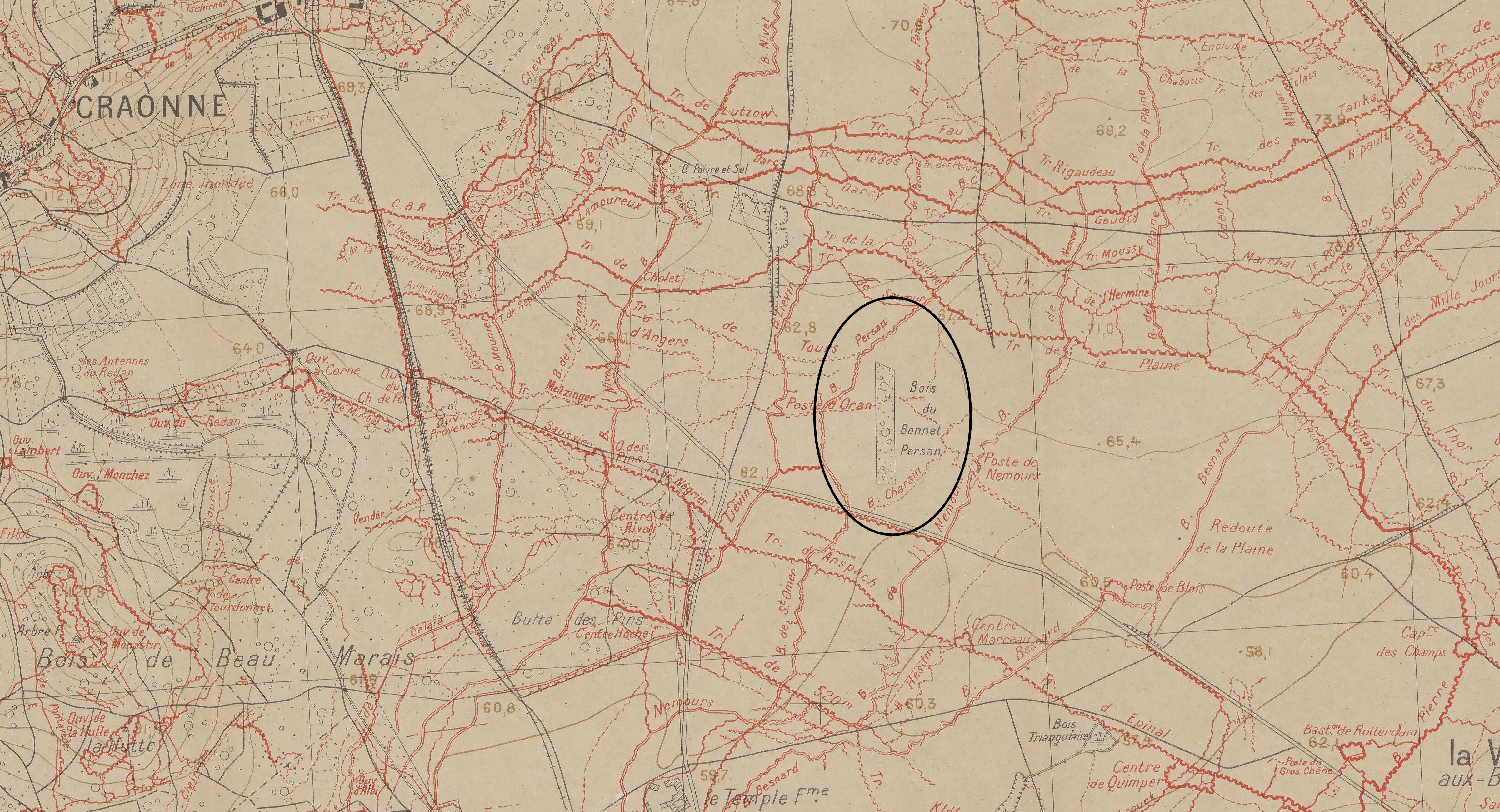Bois du Bonnet Persan
