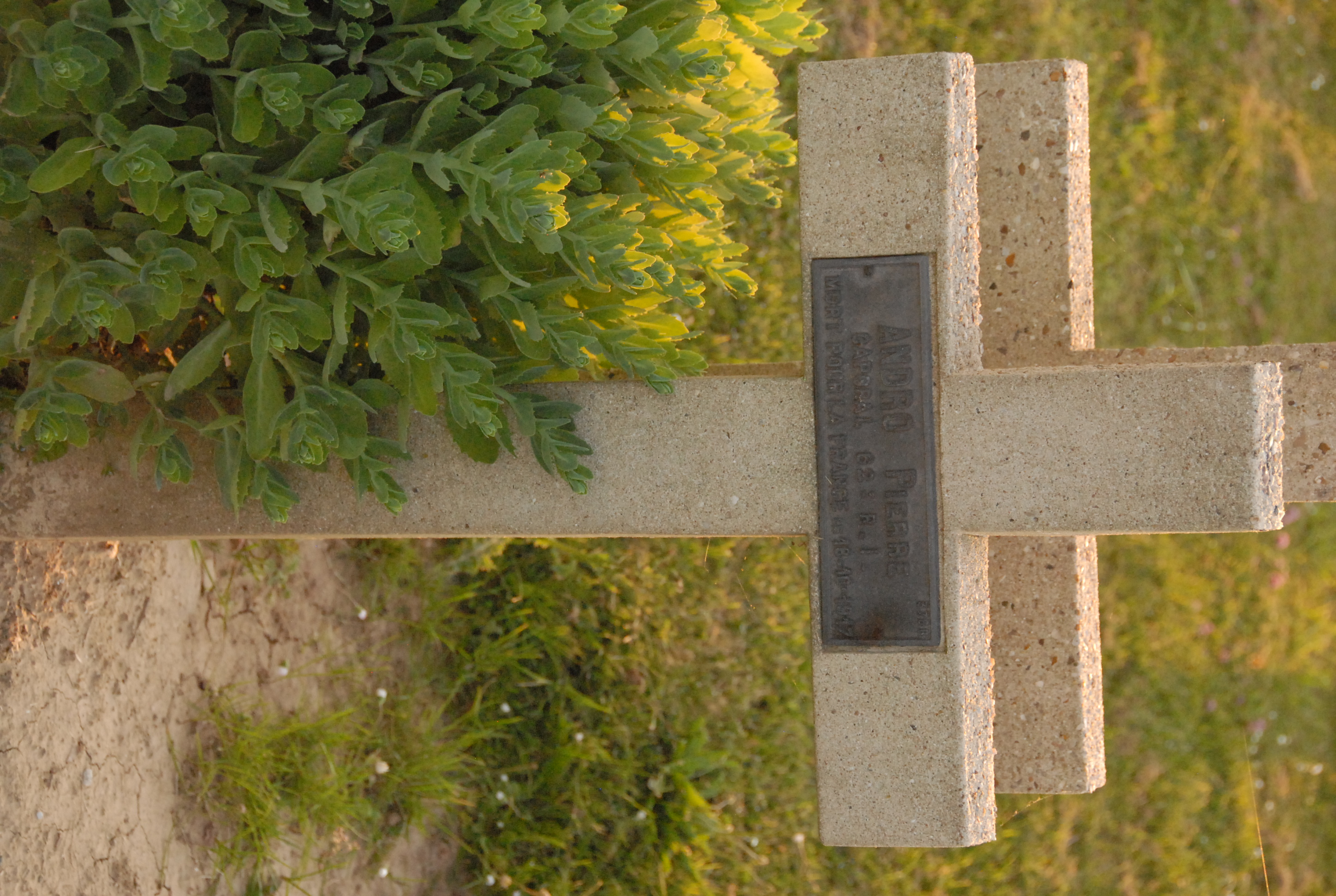 Sépulture ANDRO Pierre Jean Louis