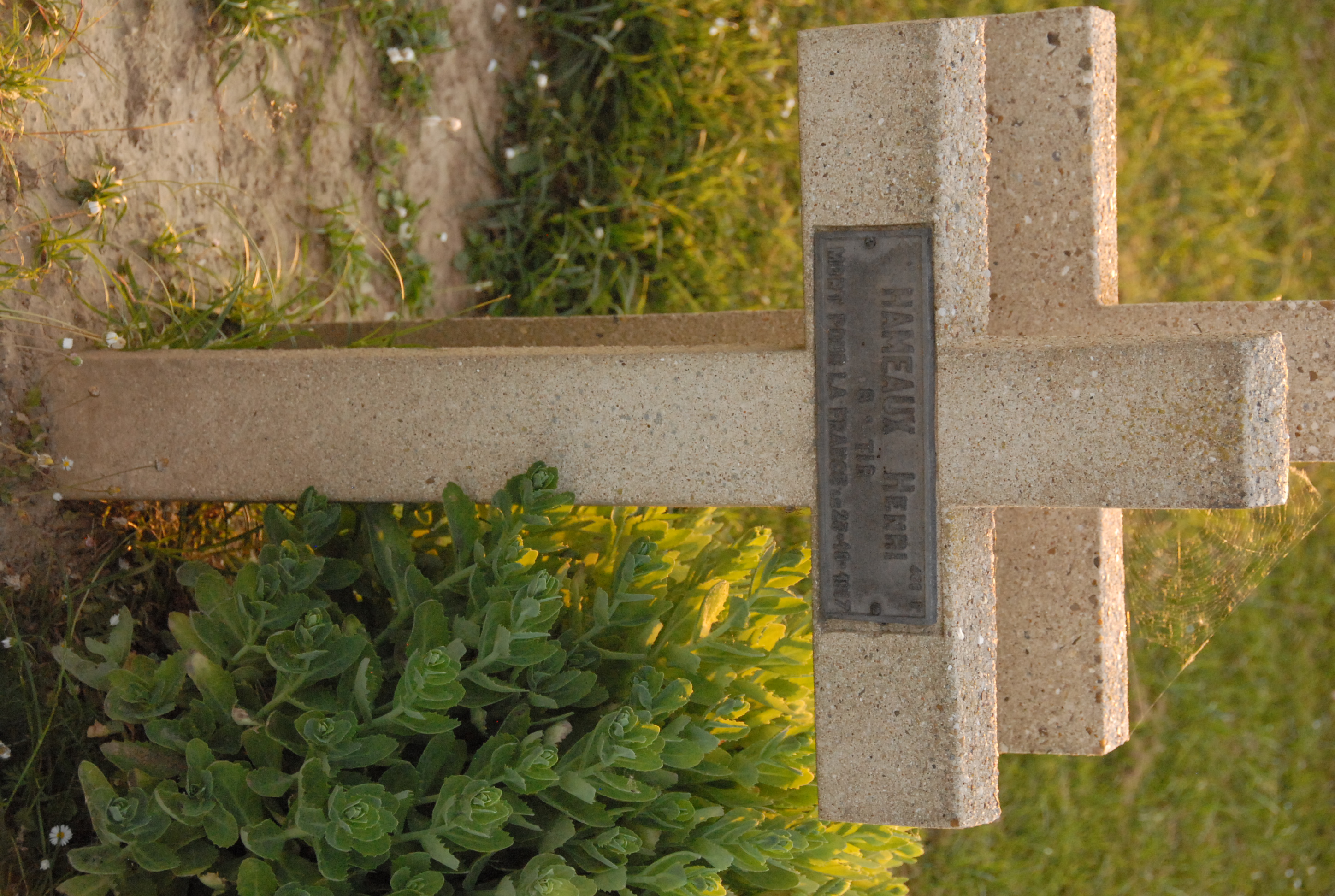 Sépulture HAMEAUX Henri