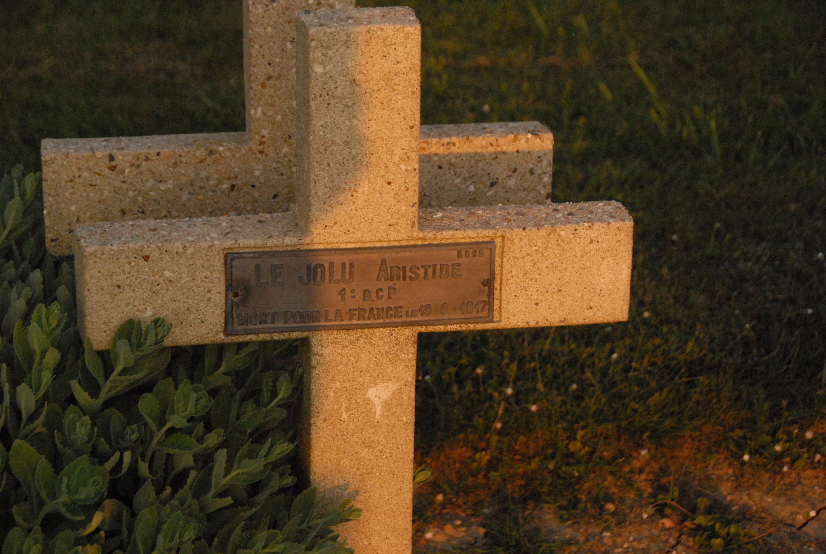 Sépulture LE JOLU Aristide Louis