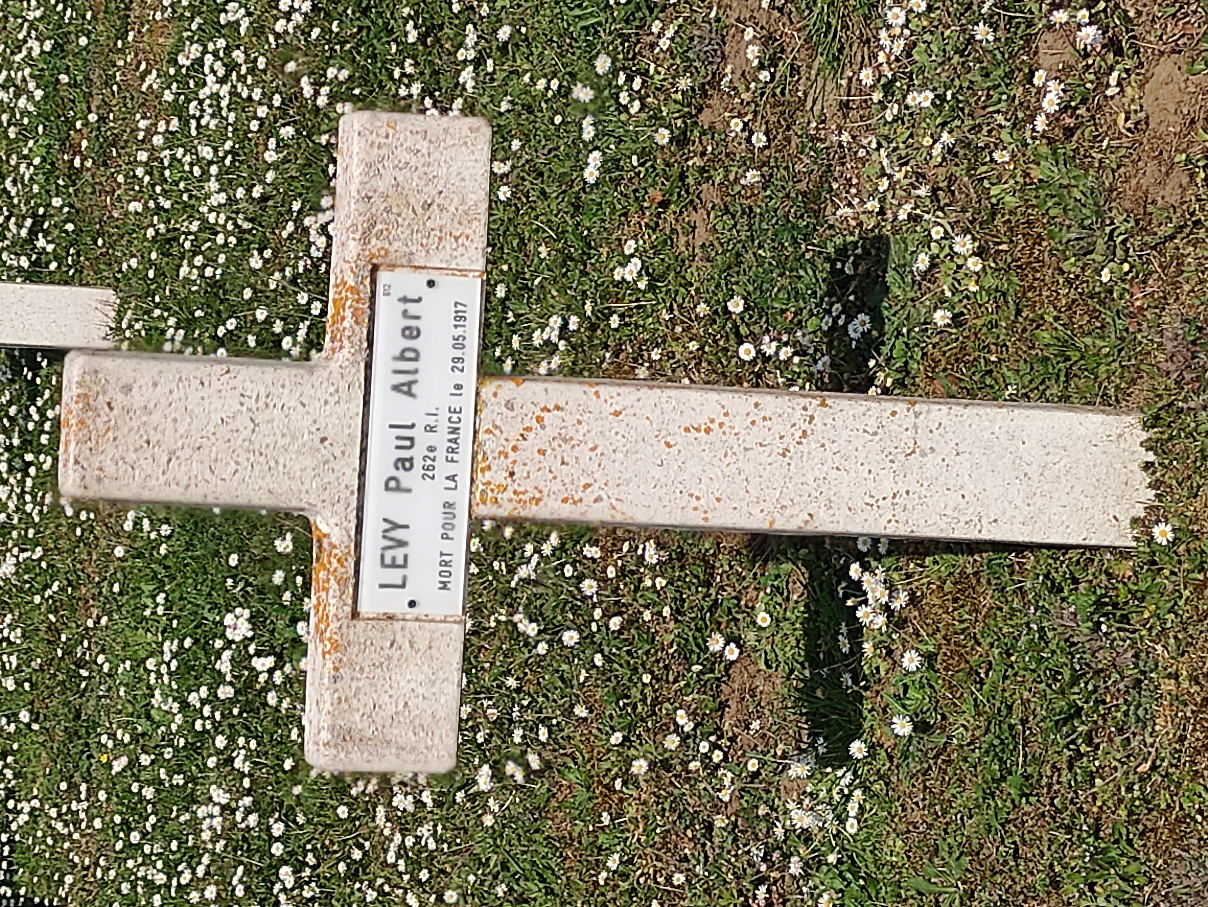 Sépulture LEVY Paul Albert