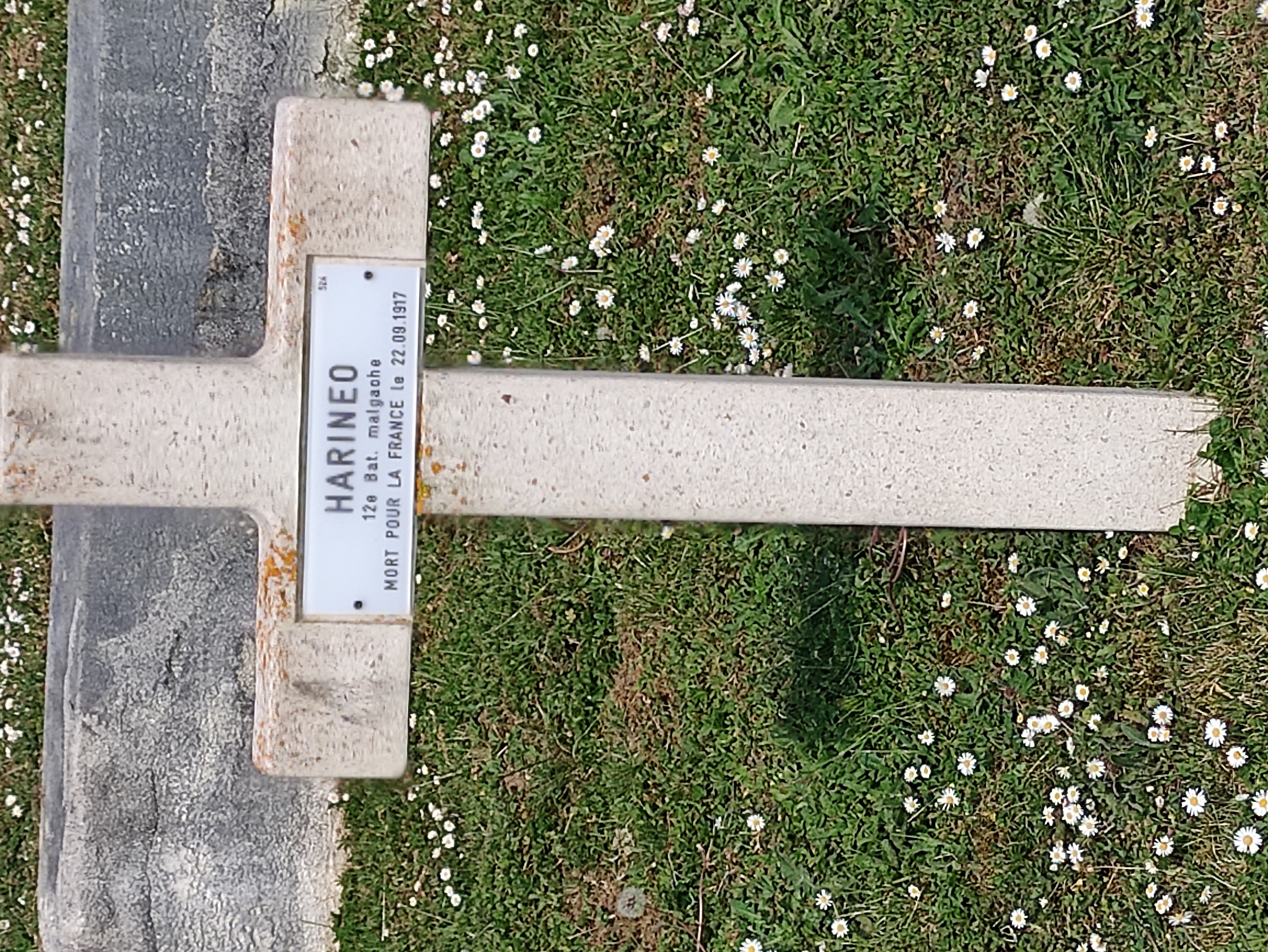 Sépulture HARINEO