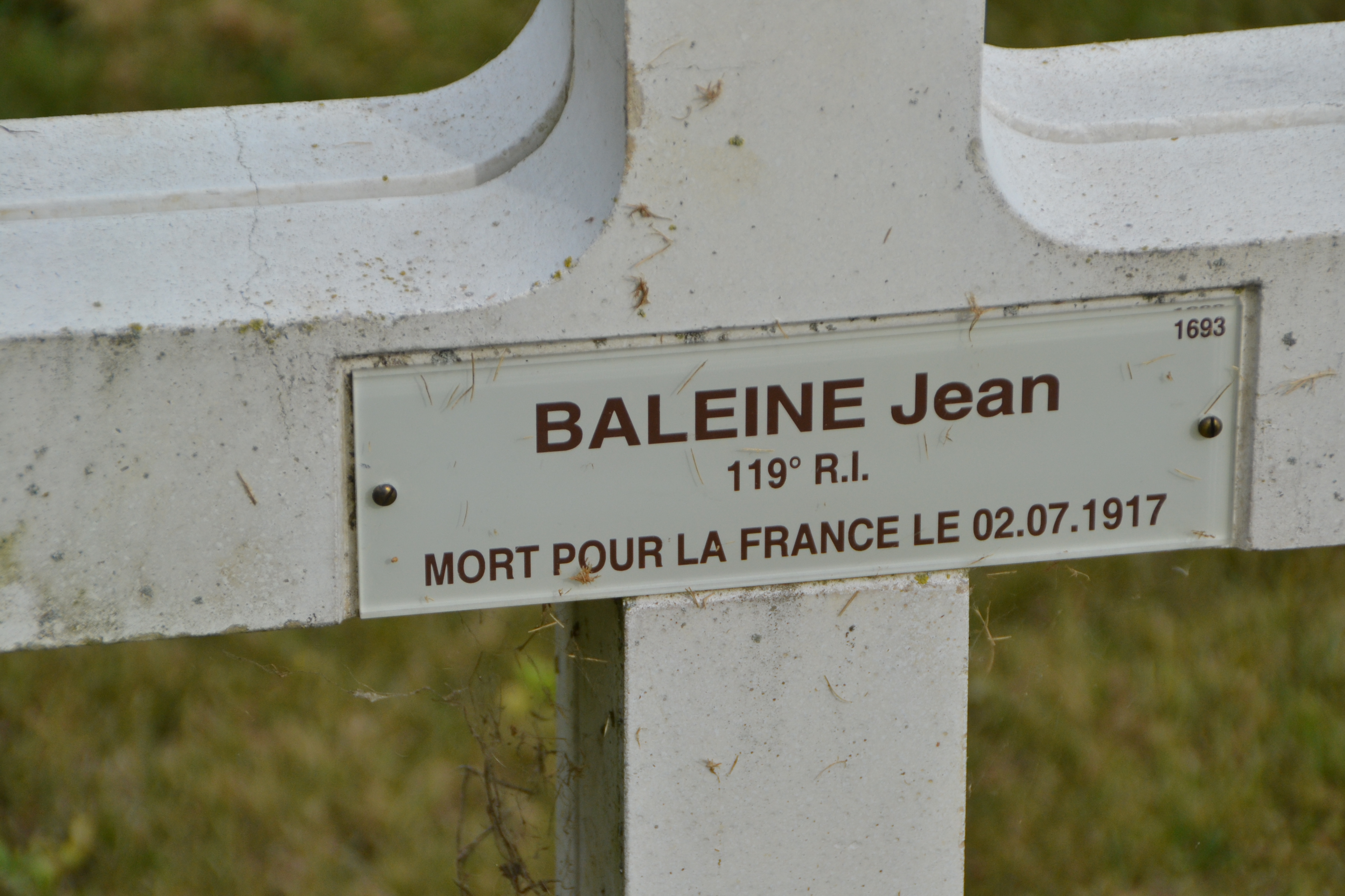Baleine Jean Gabriel Gaudérique, sépulture à Berry au Bac