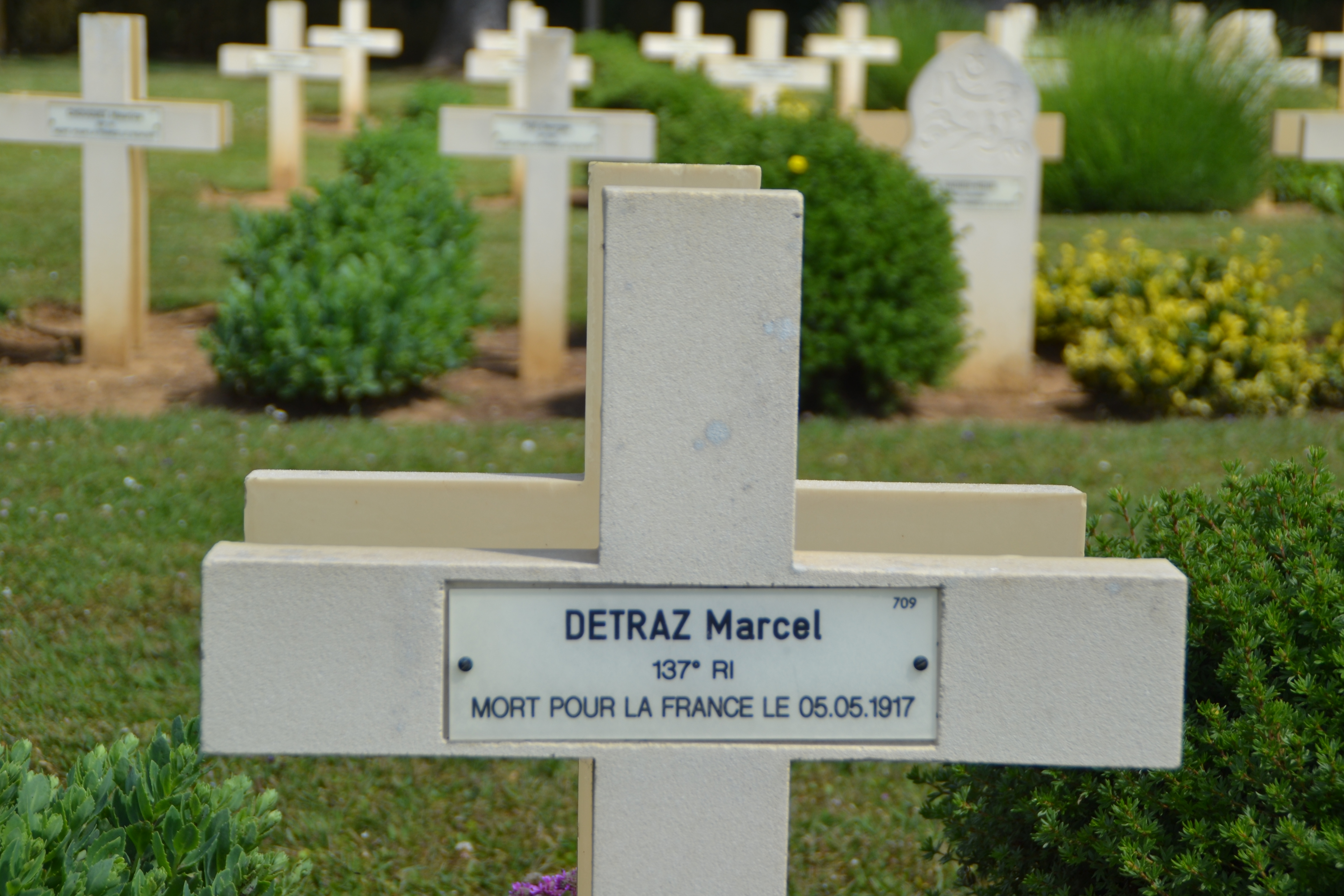 Detraz Marcel Léon sépulture à Cerny-en-Laonnois (Aisne) Detraz Marcel Léon sépulture à Cerny-en-Laonnois (Aisne)