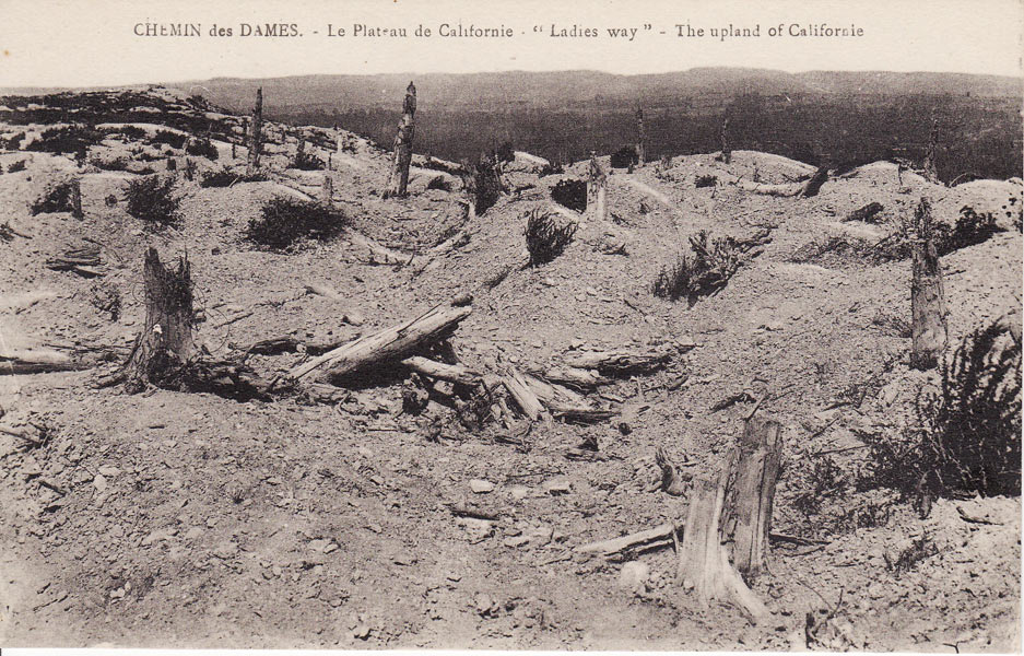 le Plateau de Californie dévasté