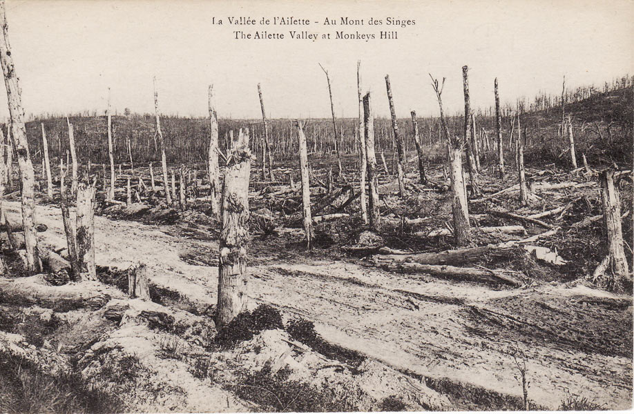 Le Mont des Singes