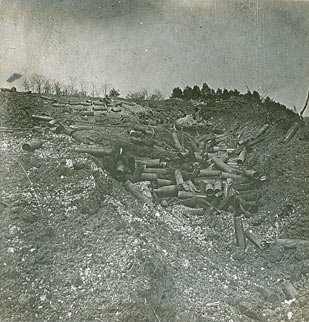 Secteur de l'Ange Gardien