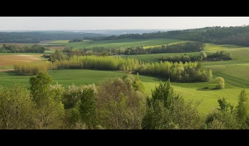 Chemin des Dames < Oulches-la-Vallée-Foulon < Guerre 14-18 < WWI < Aisne < Picardie < France