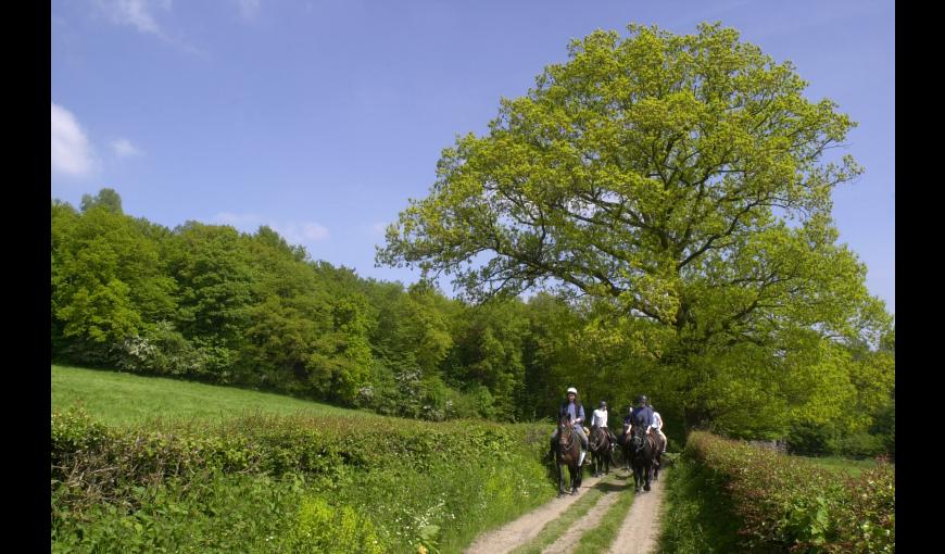 A cheval le long de la vallée de l'Aisne