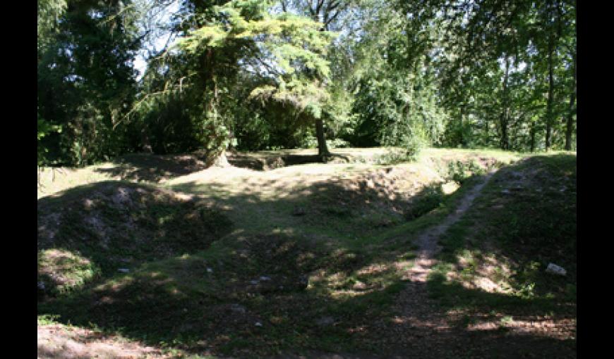 Arboretum II < Craonne < Aisne < Picardie