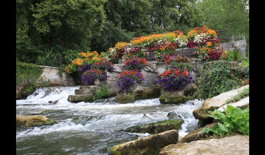 Barrage fleuri à Braine