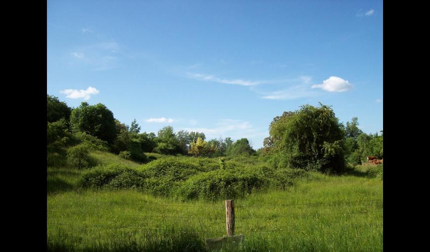 Village détruit de Chermizy