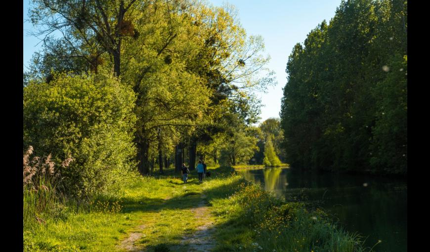 Canal de l'Aisne