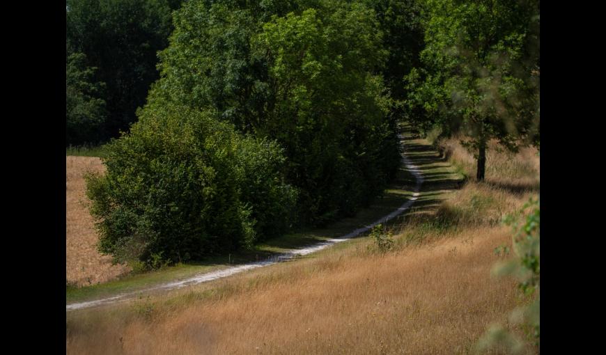 Chemin de liaison inter village