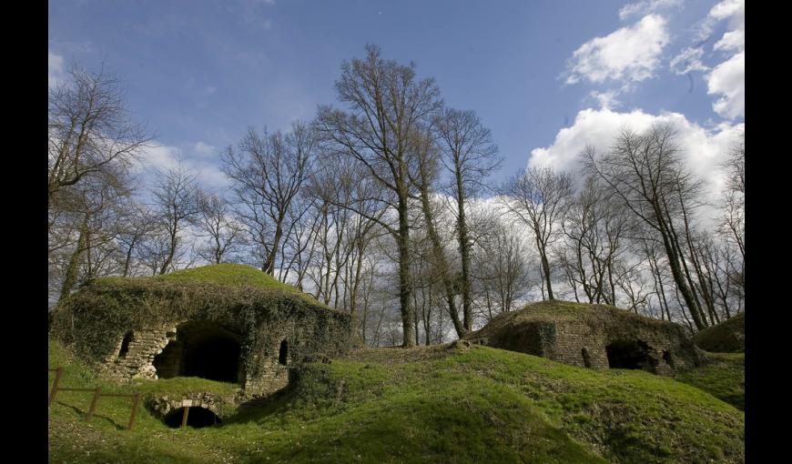 Les ruines du fort de la Malmaison