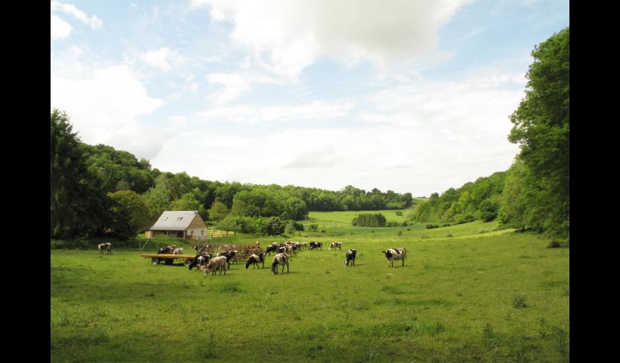 Ferme des Aubes Terres | Chemin des Dames