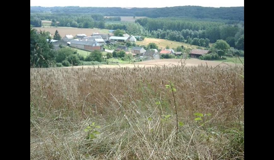 Hameau d'Ouilly