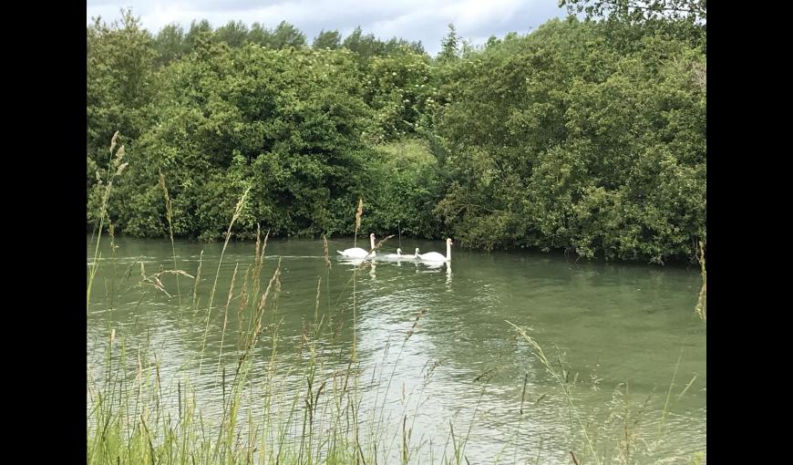 Aire de service de Berry-au-Bac - camping-car