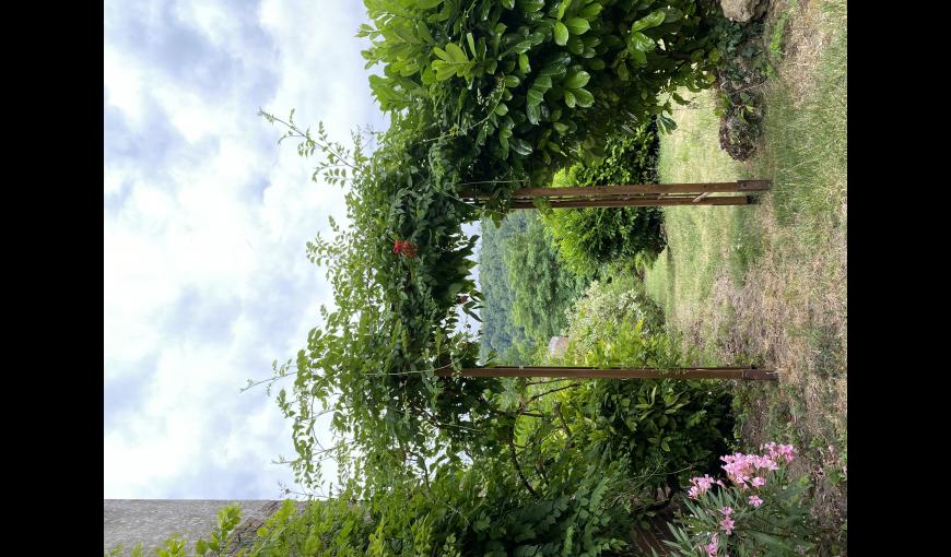jardin