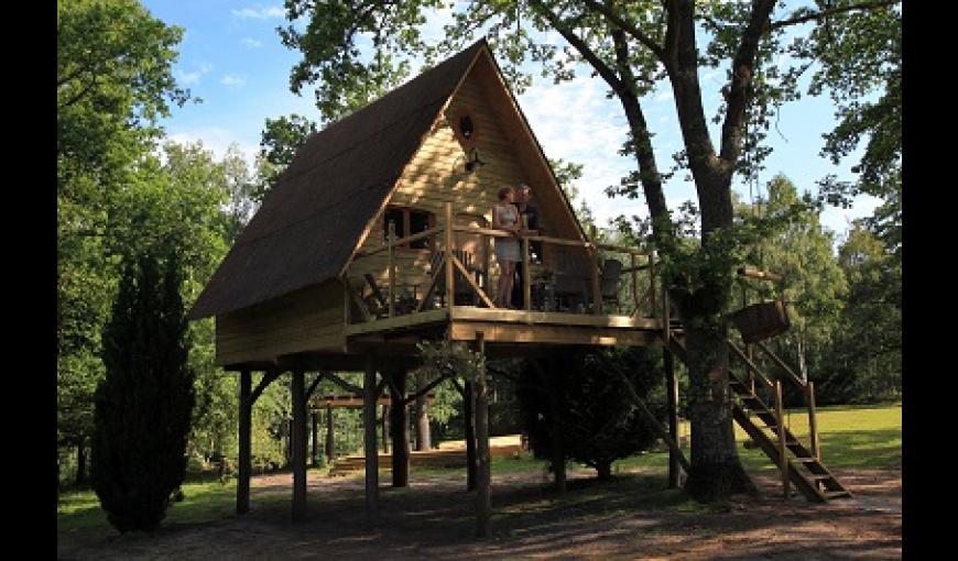 Cabane Dans Les Arbres Fere En Tardenois