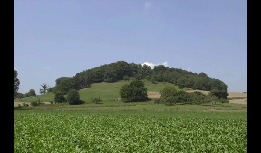 LA BUTTE DE CESSIERES