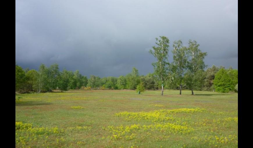 Vue sur les bruyères