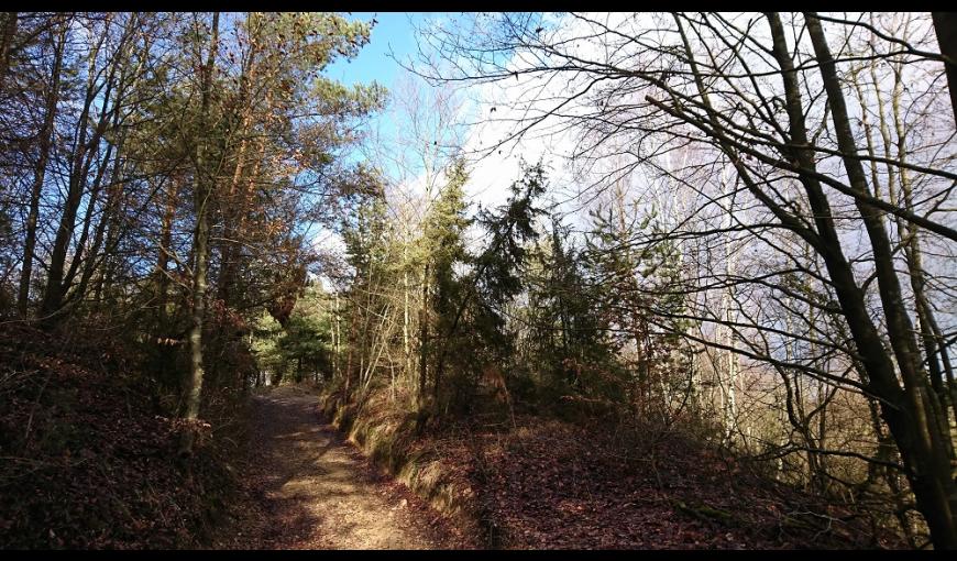 Vue des hauteurs de Neuville