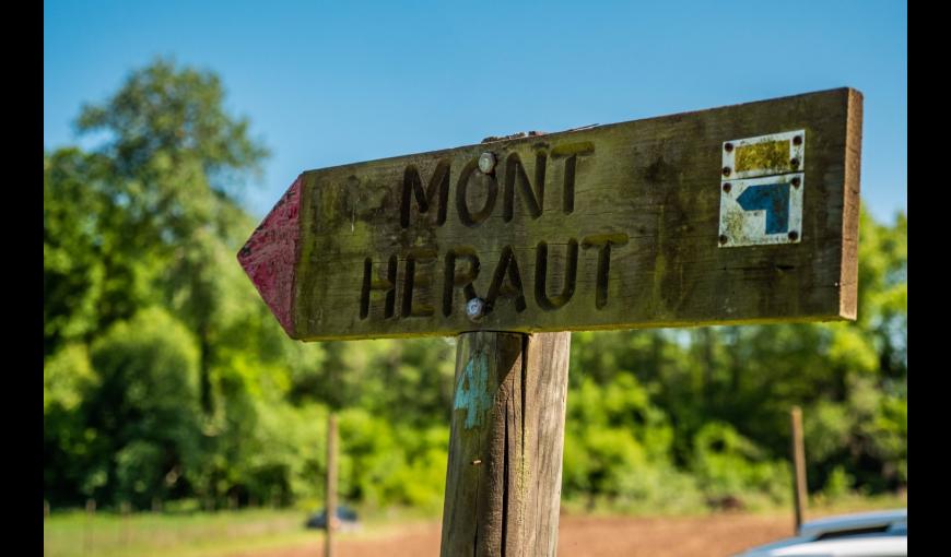 La maison bleue et le bois françon