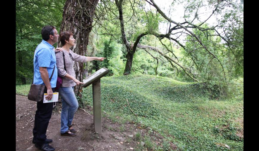 Arboretum_Craonne_Chemin_des_Dames