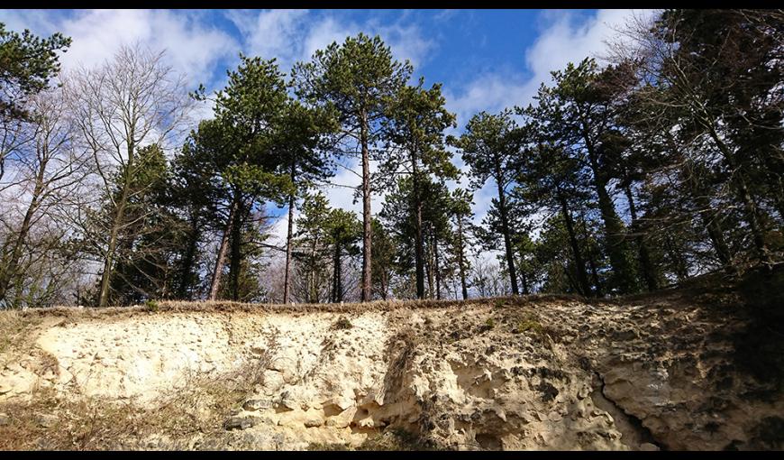 Plateau de Californie < Craonne < Aisne < hauts-de-France