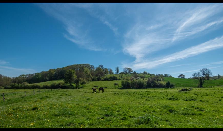 Prairies de Bouffignereux