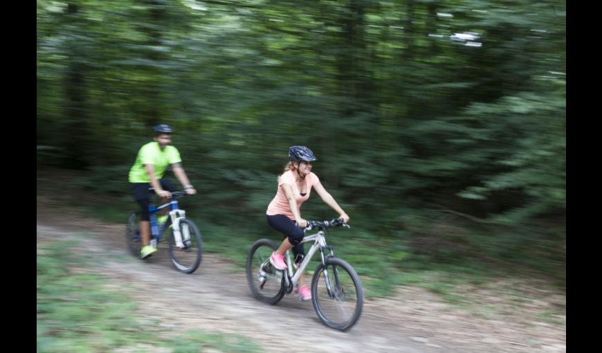 Randonnée en VTT