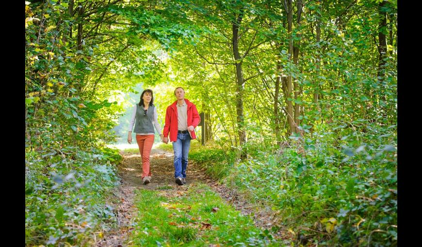 Rando en forêt de Saint-Gobain < Aisne