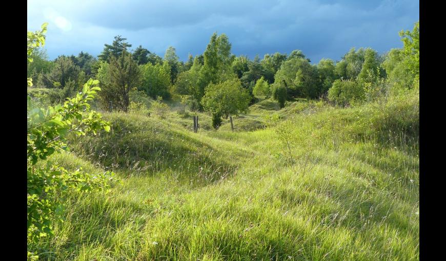 Sentier de l'Azuré < Aisne