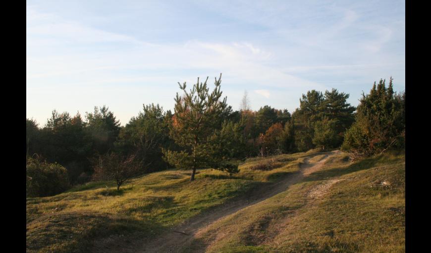 Site de la Pierre Frite