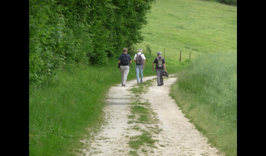 marcheurs < vallee Ailette < Aisne < Picardie