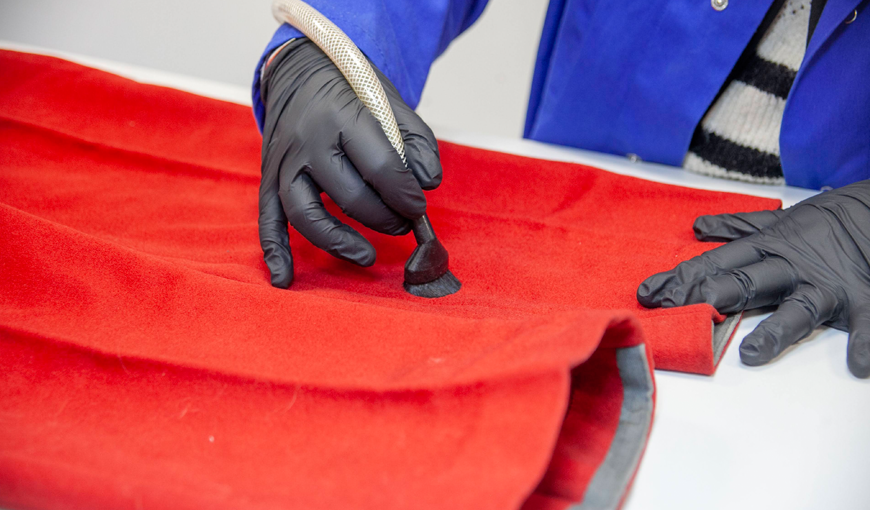 Entretien des collections