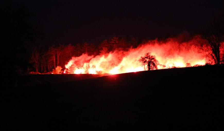 Embrasement des pentes du Chemin des Dames lors de la marche à l'aube, le 16 avril 2018