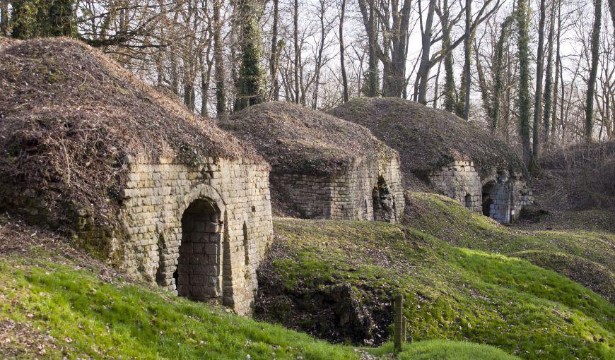 Ruines du fort de la Malmaison, partiellement recouvertes de végétation.