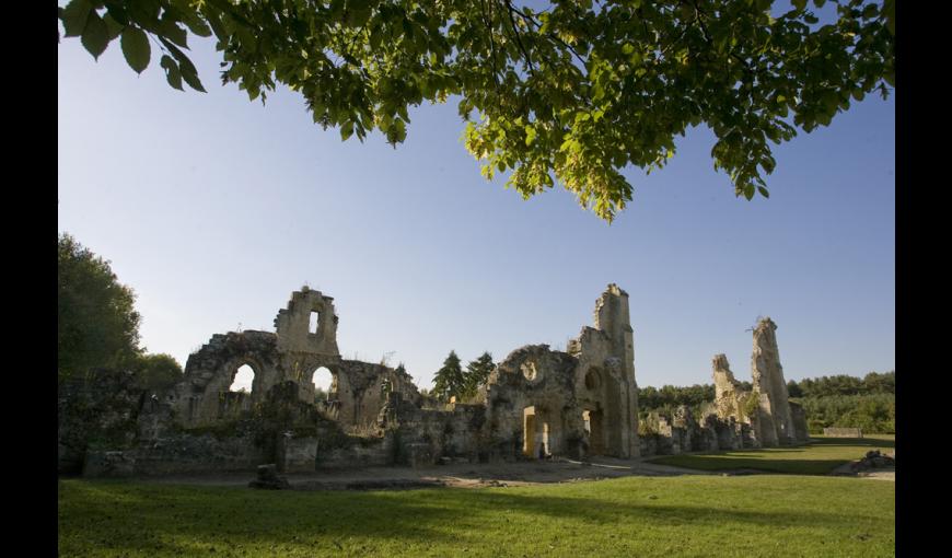 Les ruines de l'abbaye de Vauclair (Aisne)