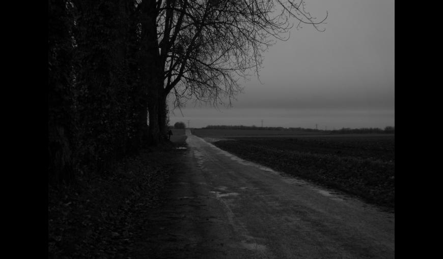 Photographie extraite du projet pédagogique 2009-2010 en partenariat avec le collège de d'Anizy-le-Château et la Caverne du Dragon.