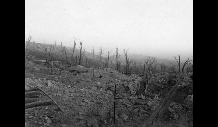 Paysage dévasté du Chemin des Dames, à proximité d'Hurtebise (Aisne)