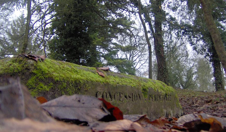 Photographie extraite du projet pédagogique 2008-2009 en partenariat avec le collège de Corbeny,  le photographe Bruno Gouhoury et la Caverne du Dragon.