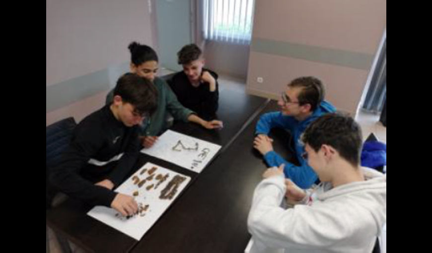 Projet pédagogique des élèves du collège Condorcet de Ribemont