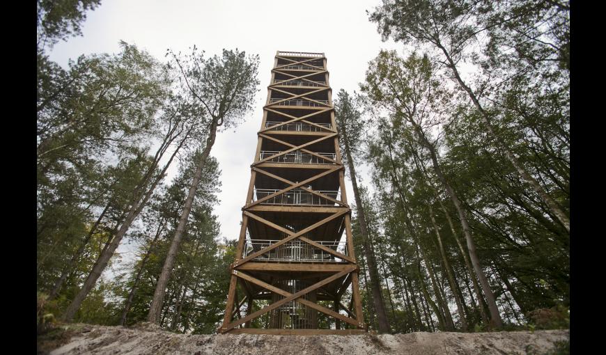 La Tour Mangin en forêt de Retz, 2017