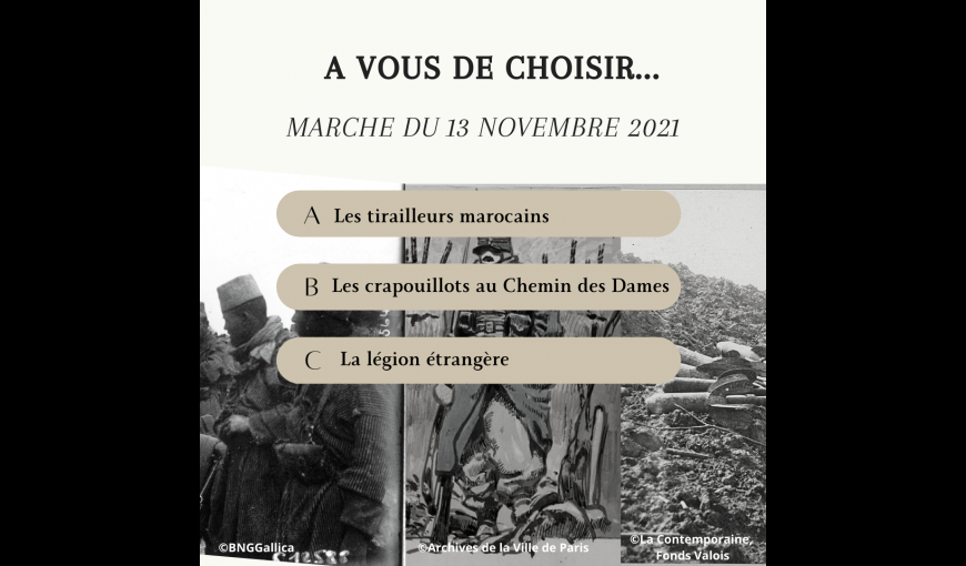 Affiche thématique marche du 13 novembre