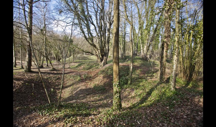 L'arboretum de Craonne (Aisne)