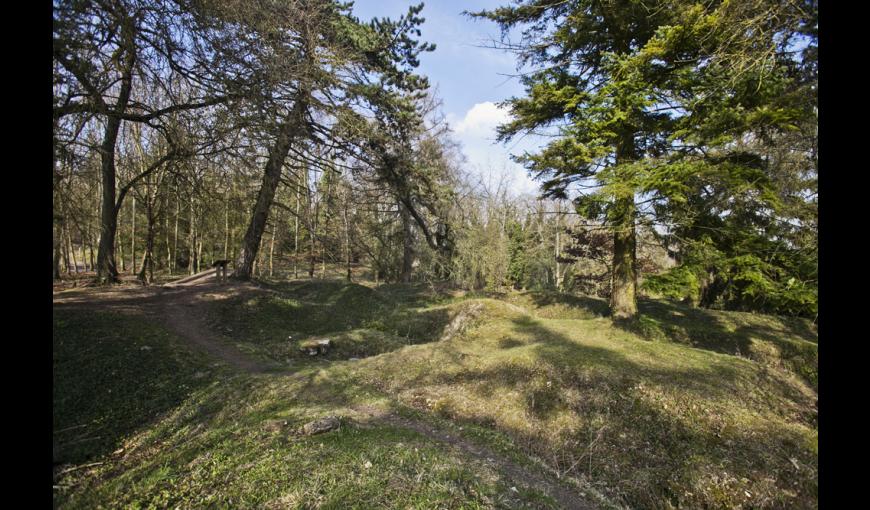 L'arboretum de Craonne (Aisne)