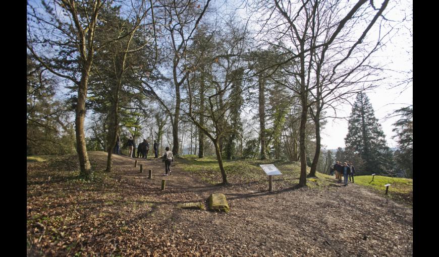 Arboretum de Craonne (Aisne)