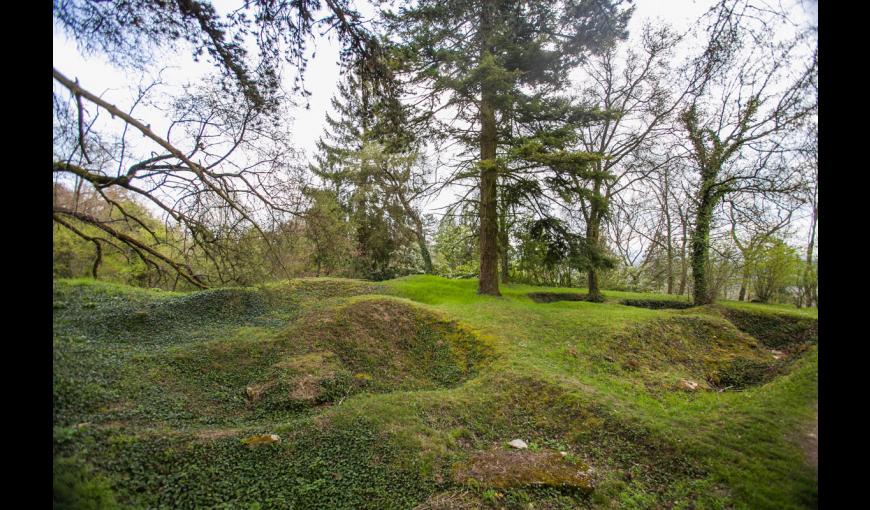 vue sur l'arboretum et sa terre dévastée par les obus (Aisne, Craonne)